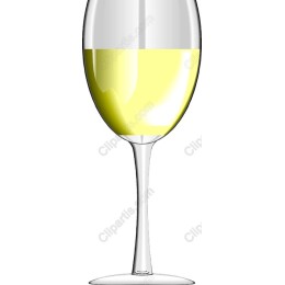 Elegant Champagne Glass