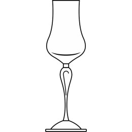 Elegant Wine Glass