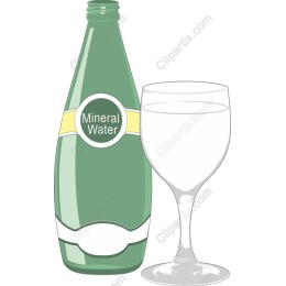 Mineral Water Bottle