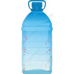 Crystal Clear Water Bottle
