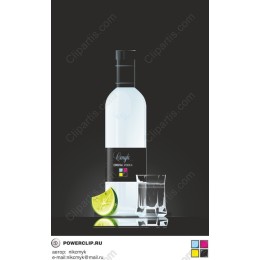 Crystal Vodka Bottle