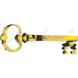Vintage Golden Key