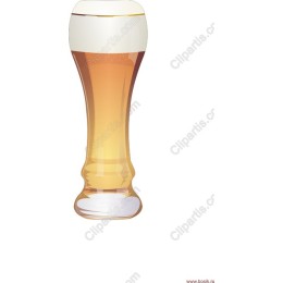Classic Beer Glass