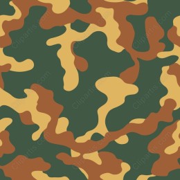 Vibrant Camouflage Pattern