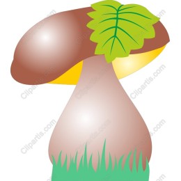 Whimsical Mushroom
