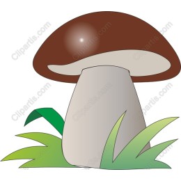 Charming Mushroom