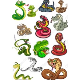 Snake Bundle - 12 Unique s