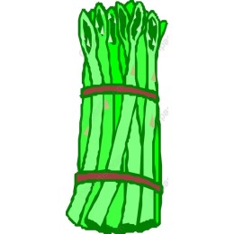 Fresh Asparagus Bundle