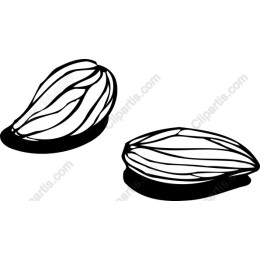 Almond for Projects