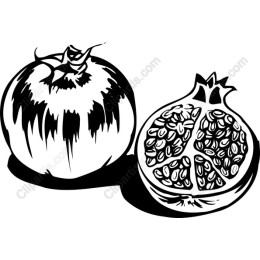 Stylized Tomato and Pomegranate