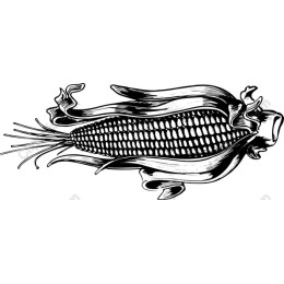 Vintage Corn