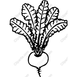 Elegant Beetroots
