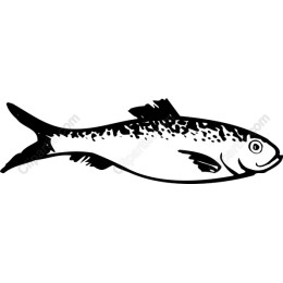 Aquatic Elegance - Fish