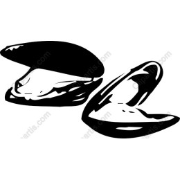 Elegant Mussel