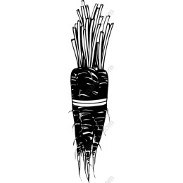 Hand-Drawn Black and White Parsnip
