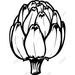 Artichoke