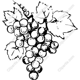 Grapes Cluster