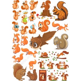 Charming Squirrel Set