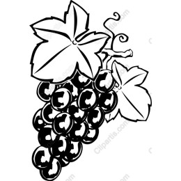 Elegant Black Grapes