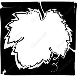 Leaf Outline