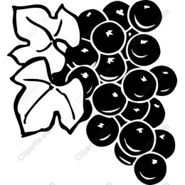 Elegant Grape Cluster