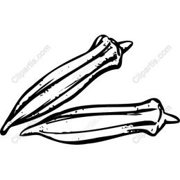 Fresh Okra Hand-Drawn