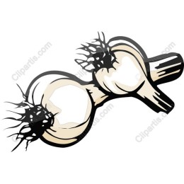 Garlic Bulb
