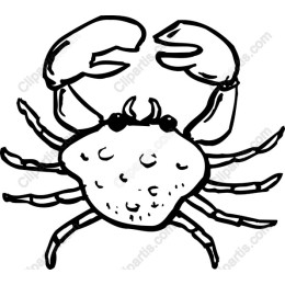 Hand-Drawn Crab