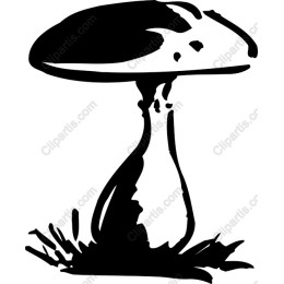 Elegant Mushroom