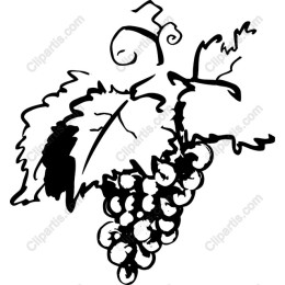 Elegant Grape Vine