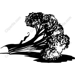 Stylized Broccoli
