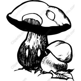 Charming Hand-Drawn Mushroom