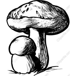 Charming Hand-Drawn Mushroom
