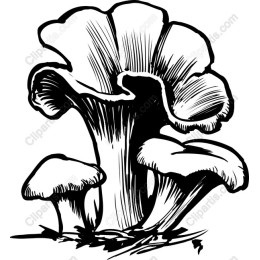 Mushroom Cluster Vintage