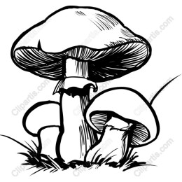 Whimsical Hand-Drawn Mushroom