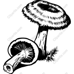 Premium Black and White Mushroom