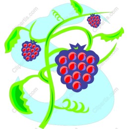 Vibrant Raspberry Vine
