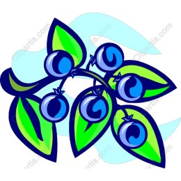 Vibrant Blueberry
