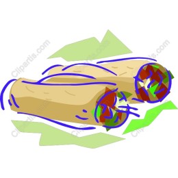Vibrant Burrito