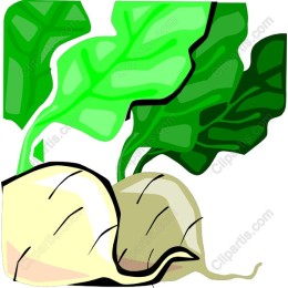 Lush Turnip with Green Leaves