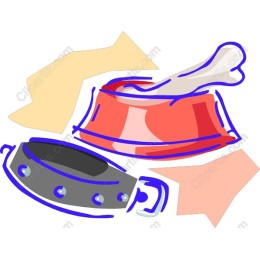 Vibrant Pet Bowl and Collar