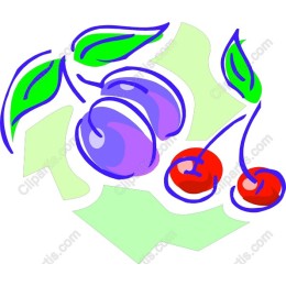 Vibrant Cherry and Plum