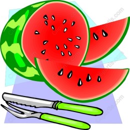 Vibrant Watermelon