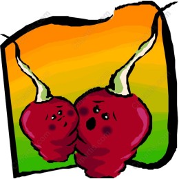 Cheerful Radishes