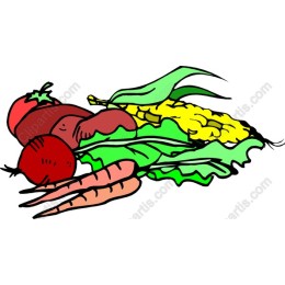 Fresh Vegetables