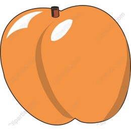 Vibrant Orange Fruit