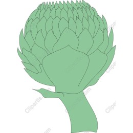 Artichoke