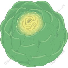 Artichoke - Fresh Green