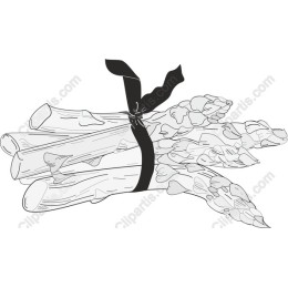 Elegant Tied Asparagus