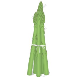 Fresh Asparagus
